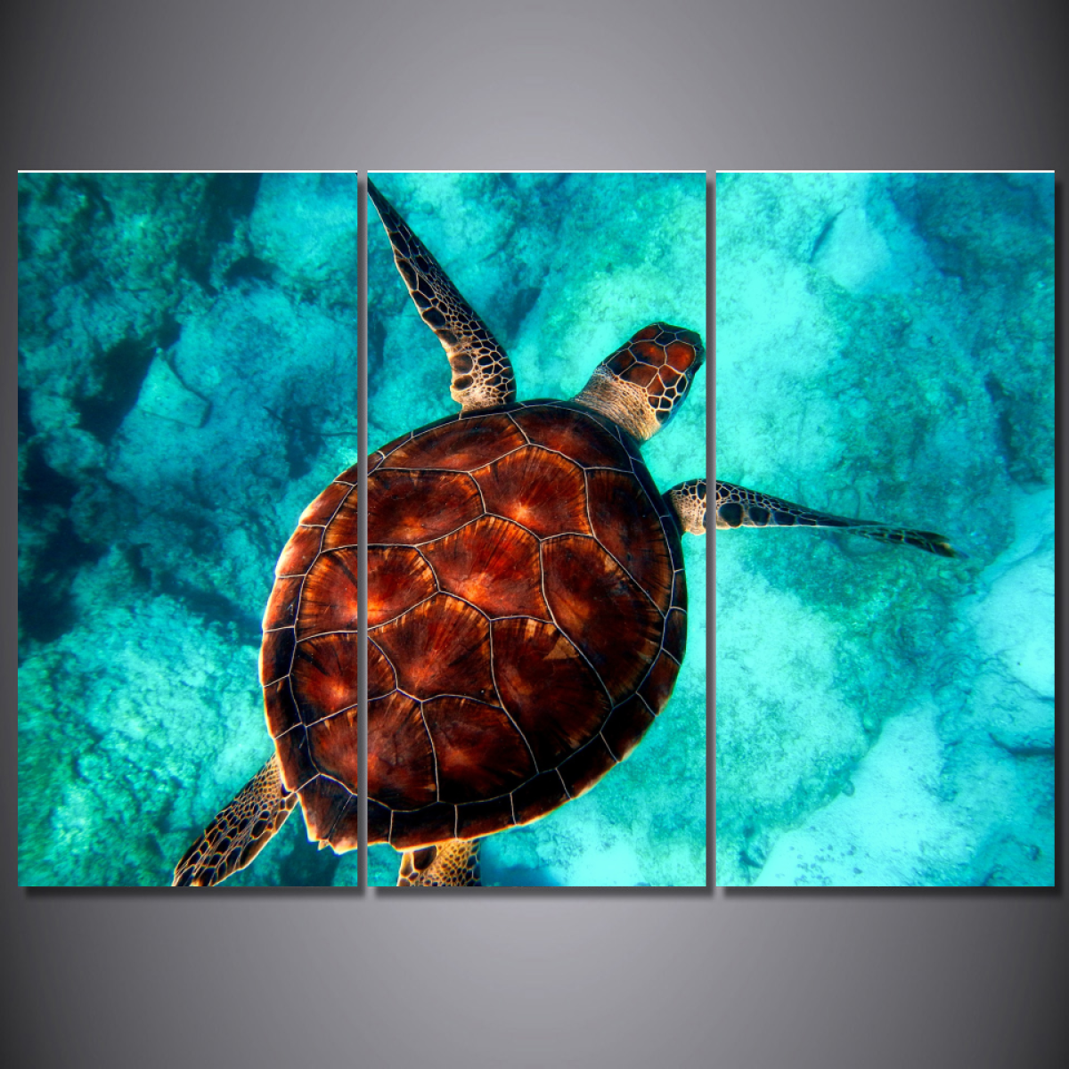 Beautiful Sea Turtle-Wallart 3 Piece Vertical Rectangle-Medium - Not framed-Brown/Aqua Blue-Cool Tees & Things